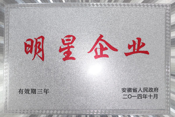 芜湖荣誉证书2